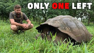 Finding the Rarest Animal in the World BTS [upl. by Denten]