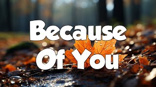 Because Of You Acoustic  98 Degrees Lyrics  MIX LYRICS [upl. by Ellingston]