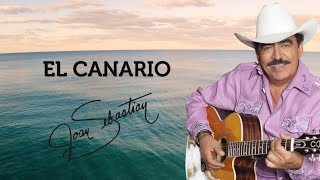 EL CANARIO LYRIC VIDEO OFICIAL [upl. by Ekard646]