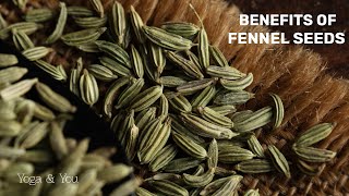 Benefits of Fennel Seeds  Remedy For Good Digestion  Perfect Digestion  VentunoYoga [upl. by Gnemgnok]