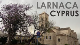 Larnaca Cyprus  Cats Coastline and Flamingos [upl. by Otokam]