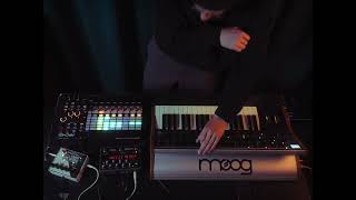 Wobbling Dub Jam Moog and Ableton [upl. by Mahan674]