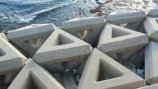 Different Tetrapods in Japan [upl. by Ocire]