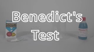 Glucose Test  Benedicts Test for Reducing Sugars [upl. by Uliram]