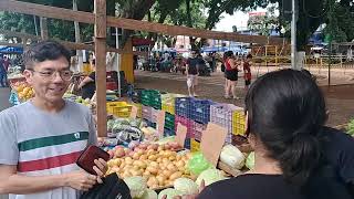 Feira de Itapetininga  SP [upl. by Coppins542]