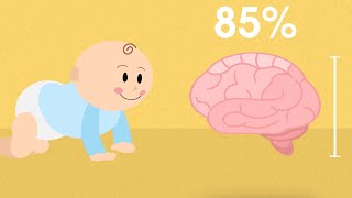 How DHA Benefits Your Child’s Brain Growth  What is DHA  Enfamil A Canada [upl. by Ettebab]