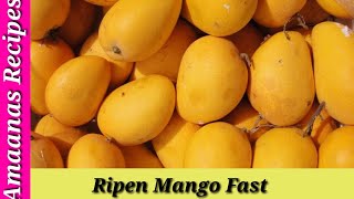 Recipe 18  How to ripen mangoes fast [upl. by Neelyk]