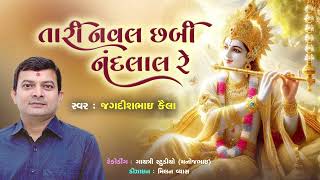 Tari Naval Chhabi Nandlal Re તારી નવલ છબી નંદલાલ રે  JAGDISH KAILA [upl. by Suivat]