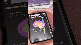 iPad note taking Dark mode 💗 aesthetic digital notes  take notes with me  iPad accessories  study [upl. by Vite]