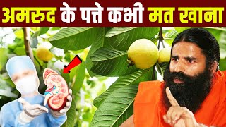 अमरुद के पत्ते खाने से क्या होता है   Health Benefits Of Guava Leaves [upl. by Goldwin]