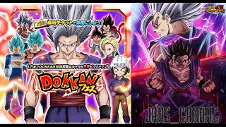 THE MOST INSANE 50 TICKET SUMMON YOU WILL SEE 9TH ANNI FREE 50 TICKETS DBZ Dokkan Battle [upl. by Oram973]