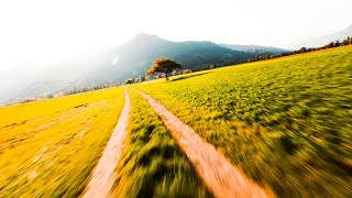 Autumnvibes in Switzerland  Cinematic FPV [upl. by Lazare]