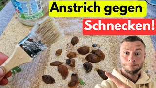 ANSTRICH gegen SCHNECKEN selber herstellen Das funktioniert wirklich 😱 [upl. by Yslek]