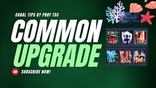 Which Upgrades You Should Use in Cabal Mobile SEA [upl. by Mackenzie]