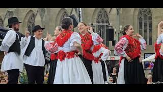 Eidgenössisches Trachtenfest 2024 🇨🇭Zürich mit Potzmusig Live [upl. by Gefen695]