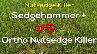 Best Nutsedge Weed killer for Your Lawn [upl. by Peer]