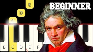 Für Elise  Very Easy Piano tutorial  Beginner [upl. by Nassah]