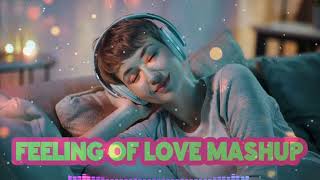 Teri Yaadein  Trending Song 2024 Lofi Mashup  Trending Songs 2024 Love Lofi [upl. by Warms396]