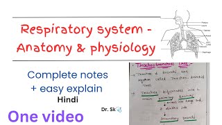 Complete Respiratory System  Anatomy amp Physiology notes in one video  hindi  easy explanation [upl. by Hy]