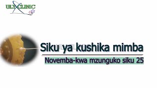 Kushika mimba Novemba 2024 Mzunguko siku 25 [upl. by Nylrebma]