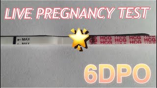 Live pregnancy test at 6 DPO [upl. by Ravi368]