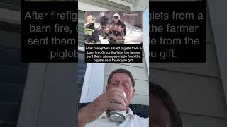 After Firefighters Saved Piglets From A Barn Fire 6 Months Later They Were Sent Sausages grandpa [upl. by Carree]