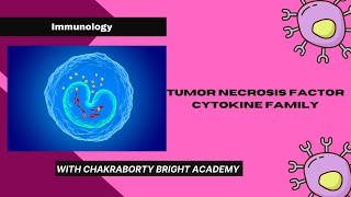 Tumor Necrosis Factor Cytokine Family [upl. by Veljkov]