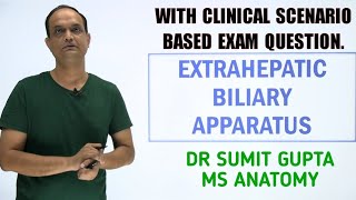 Extrahepatic biliary apparatus [upl. by Kynan]