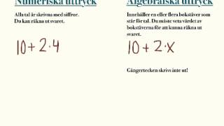 Numeriska och algebraiska uttryck [upl. by Ditter]