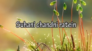 Suhani Chandni Raatein [upl. by Magner343]