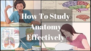 How To Study Anatomy Effectively  MBBS SERIES [upl. by Mharg]