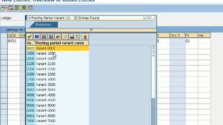 Define and Activate Non Leading Ledgers [upl. by Hamilah]