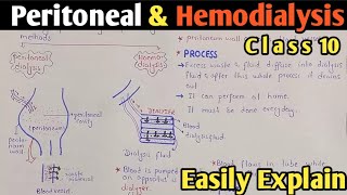 Dialysis  Peritoneal And Hemodialysis  Class 10 Biology [upl. by Ibur]