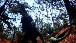 Edmontosaurus VS Raptors TRex pt1 [upl. by Najram]