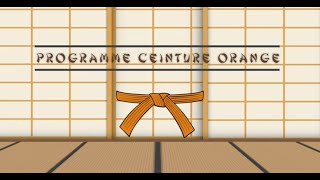 Ceinture ORANGE  Programme du Passage de Grade Judo [upl. by Edroi]