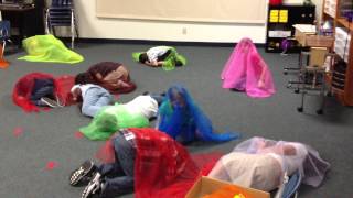 2nd Grade moves to Viennese Musical Clock wScarfs [upl. by Elleirda]