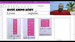 the rest of amino acids and polypeptides bonds [upl. by Redyr]