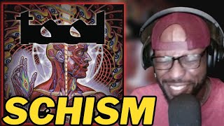 TOOL  SCHISM OFFICIAL AUDIO  PROGRESSIVE METAL MASTERPIECE  LYRICS amp ANALYSIS [upl. by Aneloc]