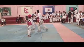 taekwondo sparring nepal  taekwondo fight [upl. by Sregor930]