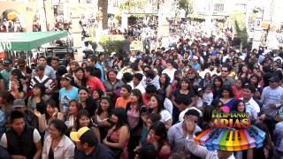 FESTIVAL DEL CHIMBANGO 2014 MIX NICHE DE COLOMBIA [upl. by Garvy]