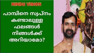 നാഗം കൊത്തുന്നതായി സ്വപ്നം കണ്ടാലുള്ള ഫലം അറിയാമോ  snake in your dream [upl. by Aisor]