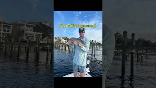 Epic Redfish Catches You Wont Believe [upl. by Isidoro]