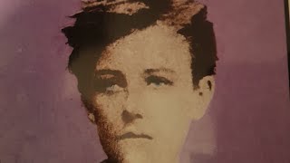 ARTHUR RIMBAUD LE VOLEUR DE FEU CHAPITRES 19ÉPILOGUE [upl. by Vaenfila]