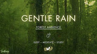 Gentle Rain On Forest Ground  NO MIDROLL ADS  Soft Rain Sounds For Sleeping [upl. by Naoh]