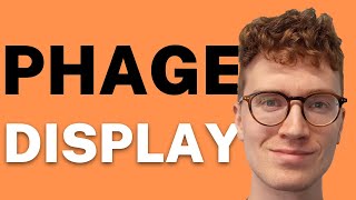 PHAGE DISPLAY EXPLAINED 2 Minutes [upl. by Nivrae597]