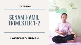 Panduan Mudah Senam Hamil Trimester 1  2 di rumah [upl. by Bogusz]