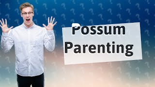 How do possums feed their babies [upl. by Miran]