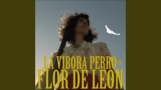 Flor de León [upl. by Shaw]