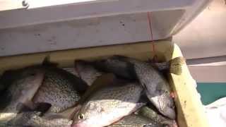 Trolling for Slab Crappie Cooler Full [upl. by Stralka]