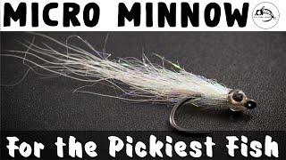 Use This Fly When the Fish Wont Eat  Micro Minnow  Fly Tying Tutorial [upl. by Liggitt]